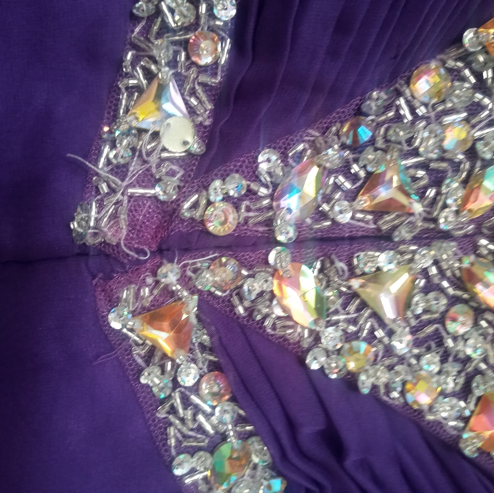 Purple Ritzee Original Dress - Picture 6 of 6